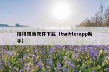 推特辅助软件下载（twitterapp助手）
