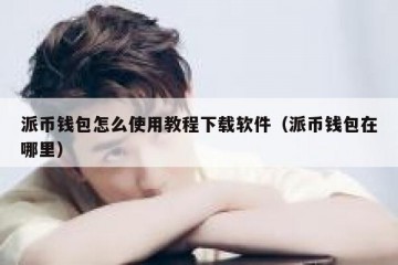 派币钱包怎么使用教程下载软件（派币钱包在哪里）