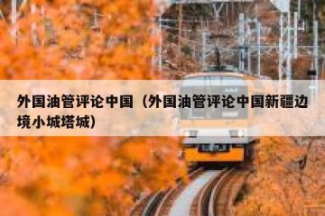 外国油管评论中国（外国油管评论中国新疆边境小城塔城）