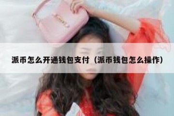 派币怎么开通钱包支付（派币钱包怎么操作）