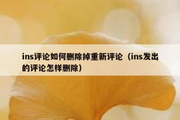 ins评论如何删除掉重新评论（ins发出的评论怎样删除）