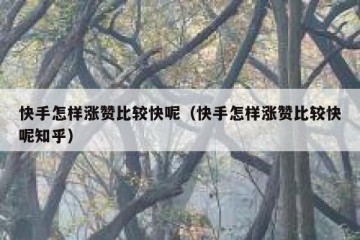 快手怎样涨赞比较快呢（快手怎样涨赞比较快呢知乎）