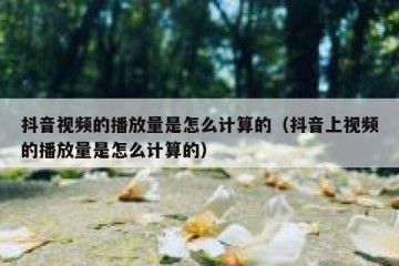 抖音视频的播放量是怎么计算的（抖音上视频的播放量是怎么计算的）
