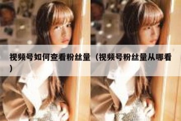 视频号如何查看粉丝量（视频号粉丝量从哪看）