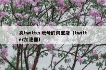 卖twitter账号的淘宝店（twitter加速器）