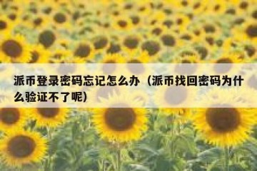 派币登录密码忘记怎么办（派币找回密码为什么验证不了呢）
