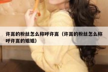 许嵩的粉丝怎么称呼许嵩（许嵩的粉丝怎么称呼许嵩的姐姐）