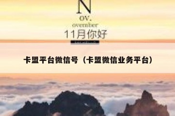 卡盟平台微信号（卡盟微信业务平台）