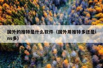 国外的推特是什么软件（国外用推特多还是ins多）