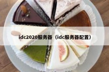 idc2020服务器（idc服务器配置）