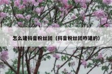 怎么建抖音粉丝团（抖音粉丝团咋建的）