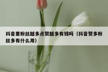 抖音里粉丝越多点赞越多有钱吗（抖音赞多粉丝多有什么用）