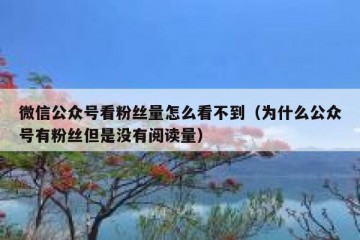 微信公众号看粉丝量怎么看不到（为什么公众号有粉丝但是没有阅读量）