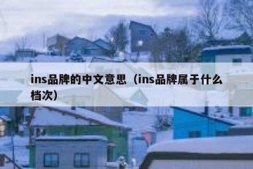 ins品牌的中文意思（ins品牌属于什么档次）