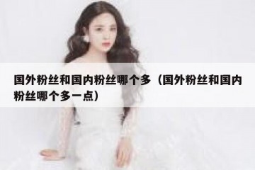 国外粉丝和国内粉丝哪个多（国外粉丝和国内粉丝哪个多一点）