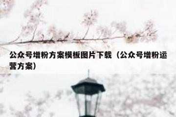 公众号增粉方案模板图片下载（公众号增粉运营方案）