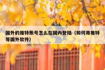国外的推特账号怎么在国内登陆（如何用推特等国外软件）
