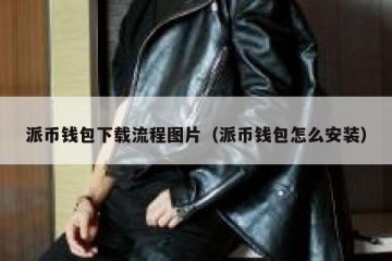 派币钱包下载流程图片（派币钱包怎么安装）