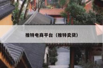 推特电商平台（推特卖货）