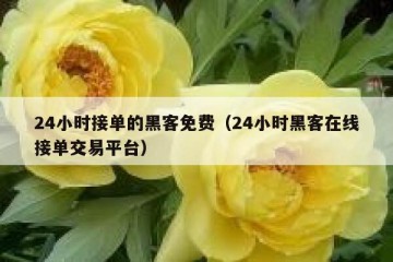24小时接单的黑客免费（24小时黑客在线接单交易平台）