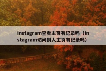 instagram查看主页有记录吗（instagram访问别人主页有记录吗）
