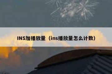 INS加播放量（ins播放量怎么计数）