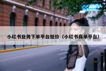 小红书业务下单平台低价（小红书商单平台）