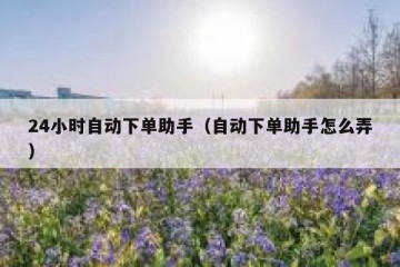 24小时自动下单助手（自动下单助手怎么弄）
