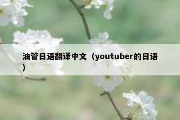 油管日语翻译中文（youtuber的日语）