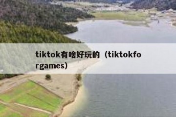 tiktok有啥好玩的（tiktokforgames）