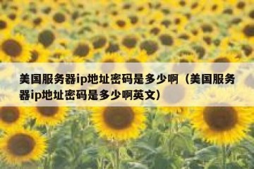美国服务器ip地址密码是多少啊（美国服务器ip地址密码是多少啊英文）