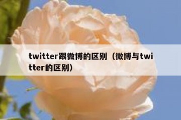 twitter跟微博的区别（微博与twitter的区别）