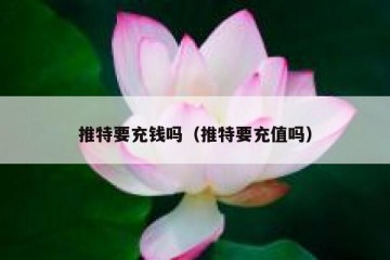 推特要充钱吗（推特要充值吗）
