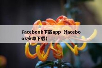Facebook下载app（facebook安卓下载）