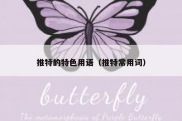 推特的特色用语（推特常用词）