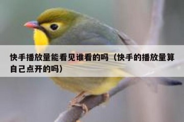 快手播放量能看见谁看的吗（快手的播放量算自己点开的吗）