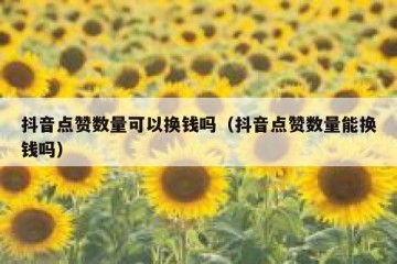 抖音点赞数量可以换钱吗（抖音点赞数量能换钱吗）