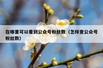 在哪里可以看到公众号粉丝数（怎样查公众号粉丝数）