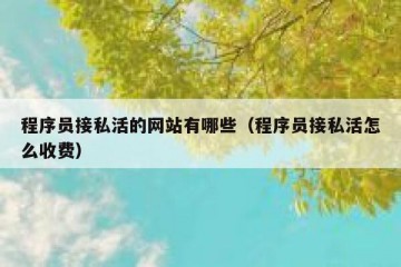 程序员接私活的网站有哪些（程序员接私活怎么收费）