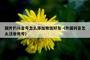 国外的抖音号怎么添加微信好友（外国抖音怎么注册账号）