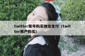 twitter账号购买微信支付（twitter账户购买）