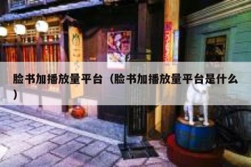 脸书加播放量平台（脸书加播放量平台是什么）