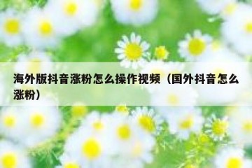 海外版抖音涨粉怎么操作视频（国外抖音怎么涨粉）