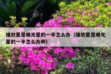 播放量是曝光量的一半怎么办（播放量是曝光量的一半怎么办啊）