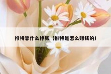 推特靠什么挣钱（推特是怎么赚钱的）