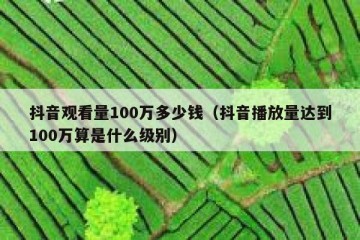 抖音观看量100万多少钱（抖音播放量达到100万算是什么级别）