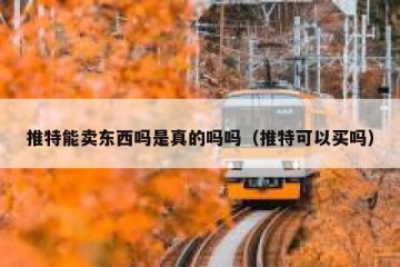 推特能卖东西吗是真的吗吗（推特可以买吗）
