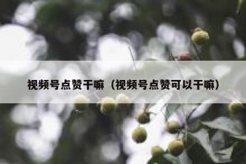 视频号点赞干嘛（视频号点赞可以干嘛）