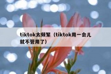 tiktok太频繁（tiktok用一会儿就不管用了）