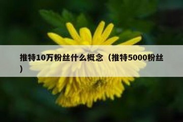 推特10万粉丝什么概念（推特5000粉丝）